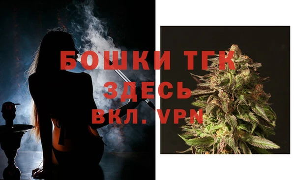 прущие грибы Горнозаводск
