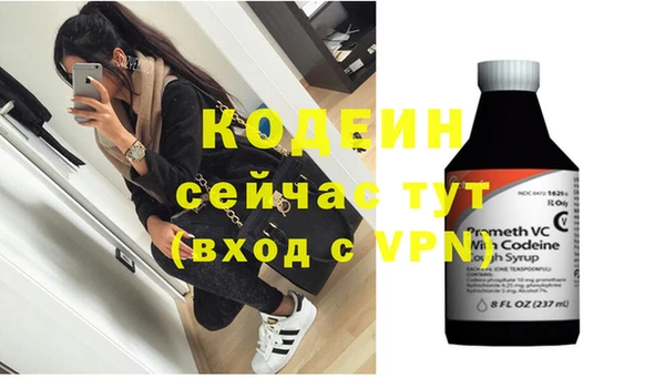 прущие грибы Горнозаводск