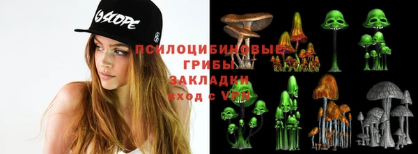 jwh Горняк