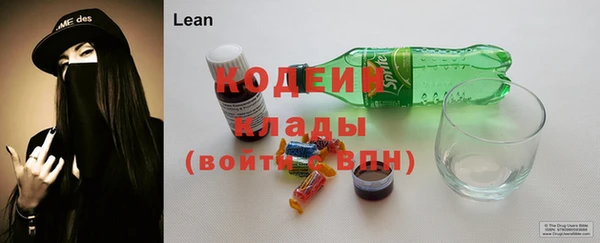 прущие грибы Горнозаводск