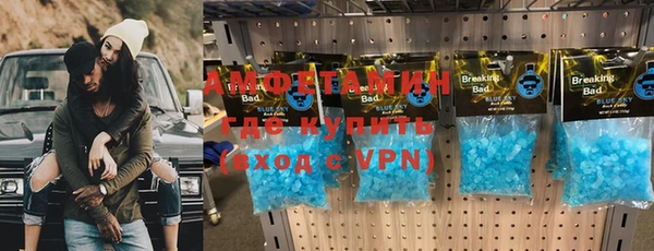 прущие грибы Горнозаводск