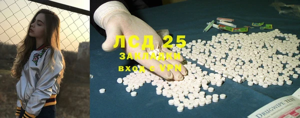прущие грибы Горнозаводск