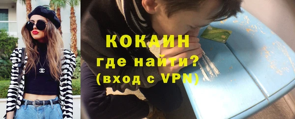 прущие грибы Горнозаводск