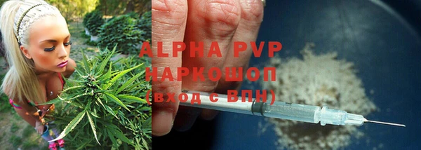 прущие грибы Горнозаводск