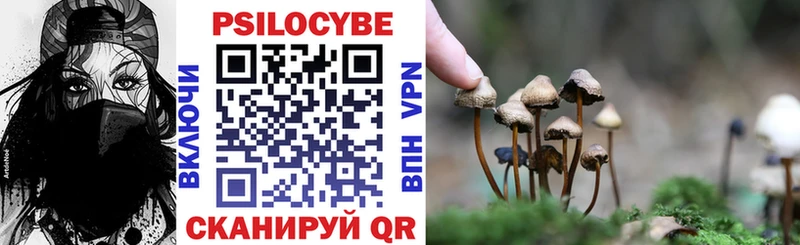 Псилоцибиновые грибы Magic Shrooms Дмитровск